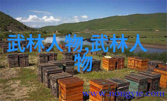 轻功飞翔的秘诀揭秘如何让身体翱翔云端