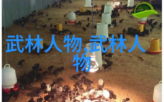 武学初阶揭秘传承千年的套路拳法之谜