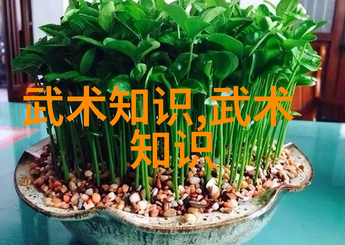 中国武术之魂揭秘最具实战价值的内功心法