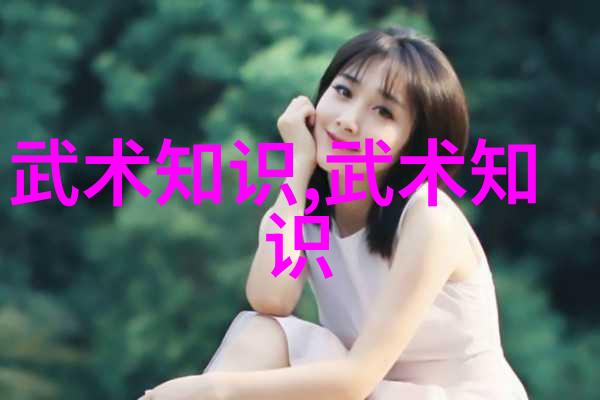 一招定江山一式成败局分析一些著名人士使用过的少林拳法