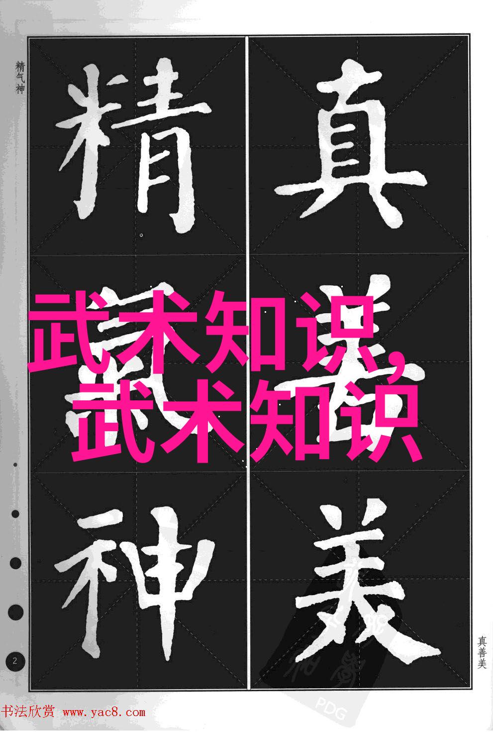 独行侠的秘密之术揭开武林自学者的神秘面纱