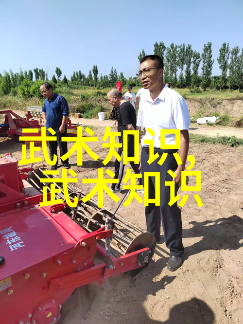 社会中的篮球架答案球的象征