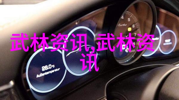 自学八极拳能成功吗-坚持不懈的武术之旅