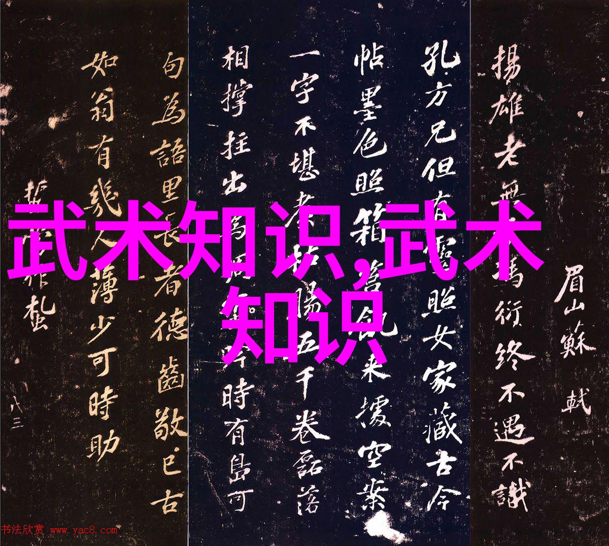 武林八大派中的尚派形意拳传承者在古老的书院内练习技艺身影映照在落叶铺金的小径上