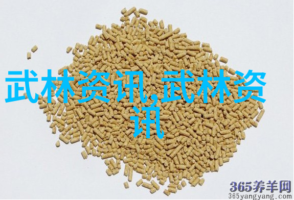 拳法十六招式图解揭秘我怎样练就一身硬功