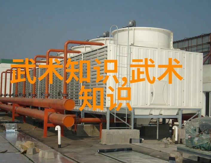 松开掤劲社会轻功秘籍张志明教你如何快速掌握武学内功