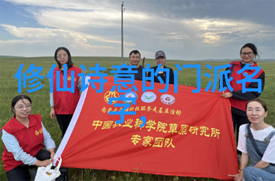 从观察他人的技巧中汲取灵感和经验教训