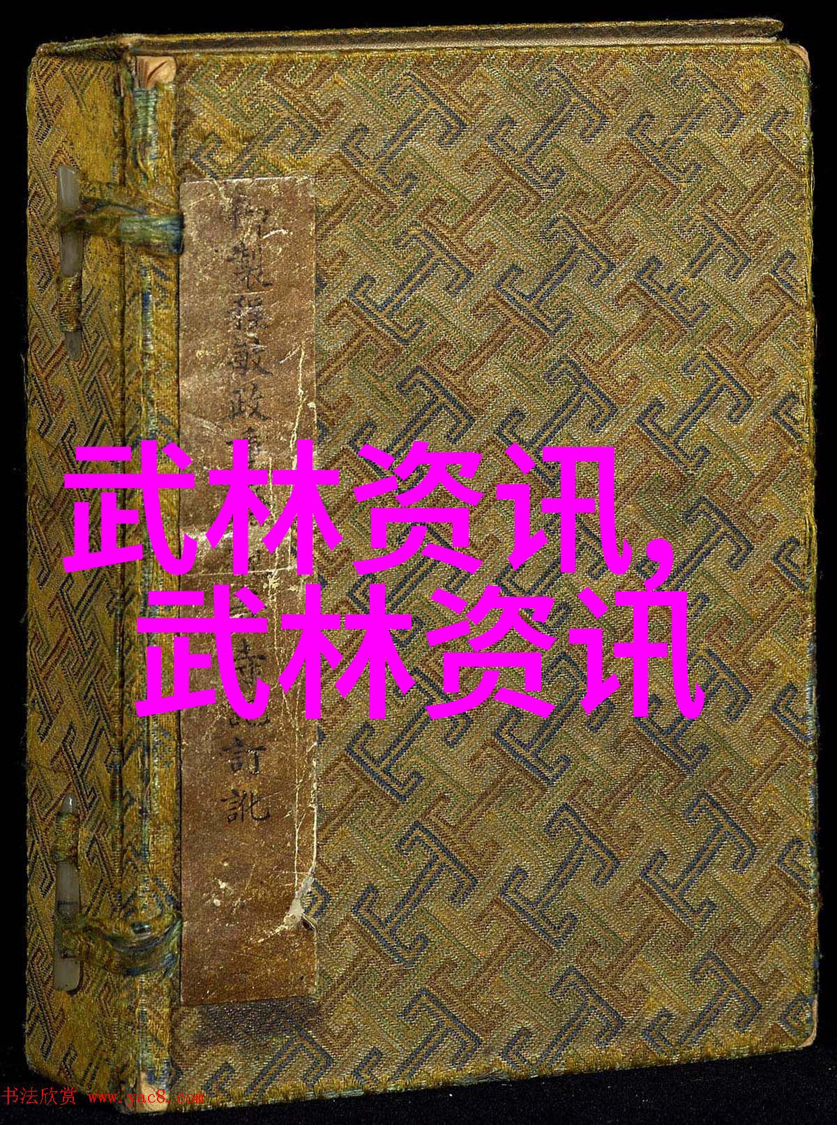武术知识 - 探索中华武术技巧哲学与历史的交响篇