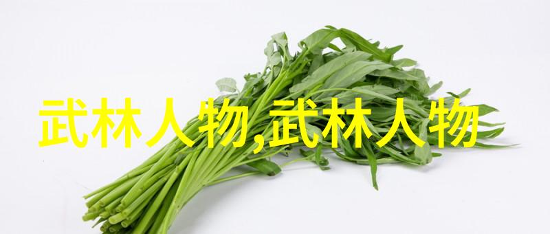 顾新法深度解读太极拳24式慢动作反复探究其内涵之美