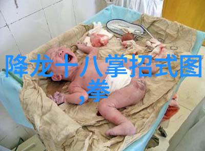 少林寺的高手们会不会使用飞天腿法来对抗敌人