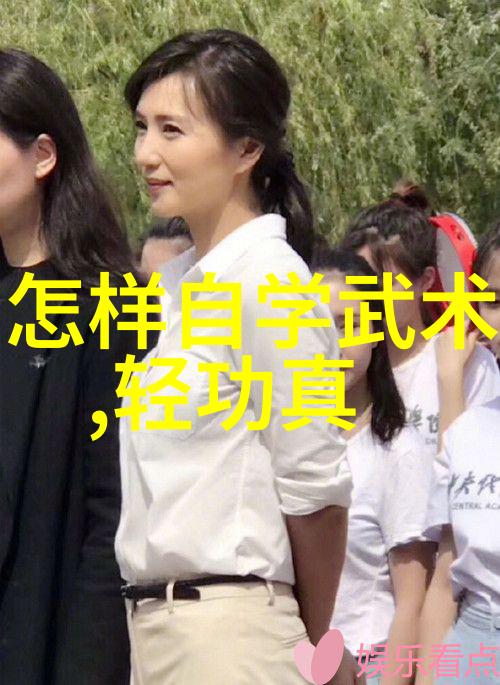少林武功秘籍大全-揭秘千年内功心法与绝学招式
