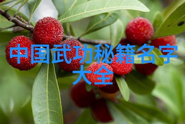 江湖百门剑指天穹的豪杰与隐世草莽