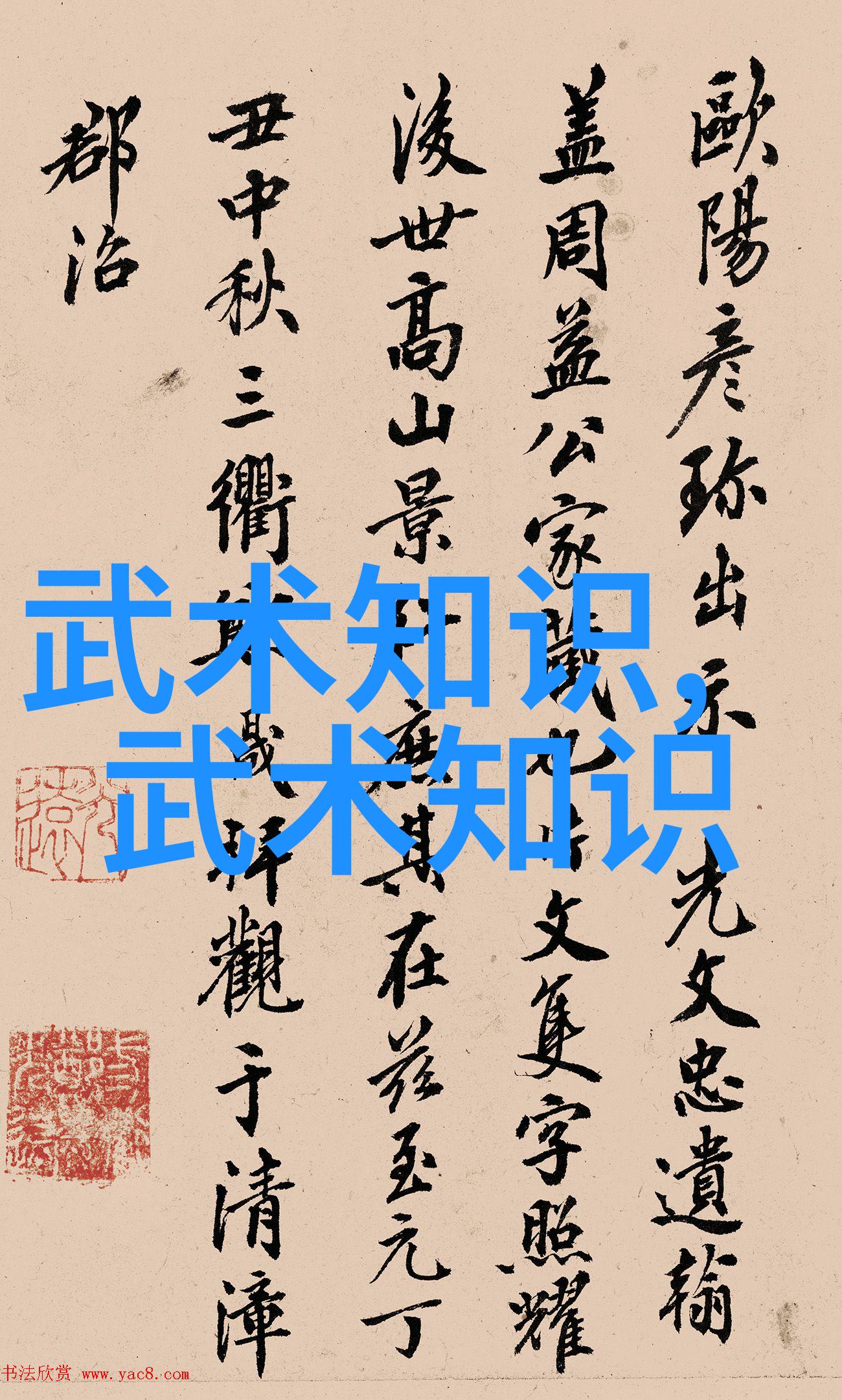 贵州武林秘笈揭秘肖氏心意拳的独门绝技
