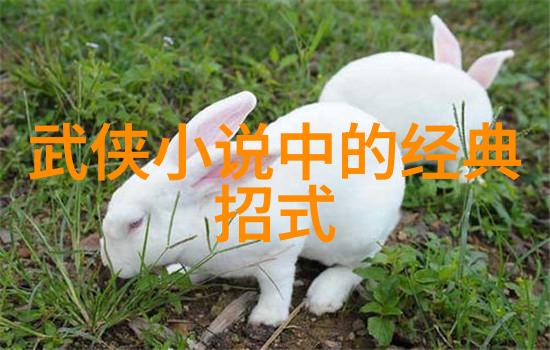 天界之巅九霄真宗