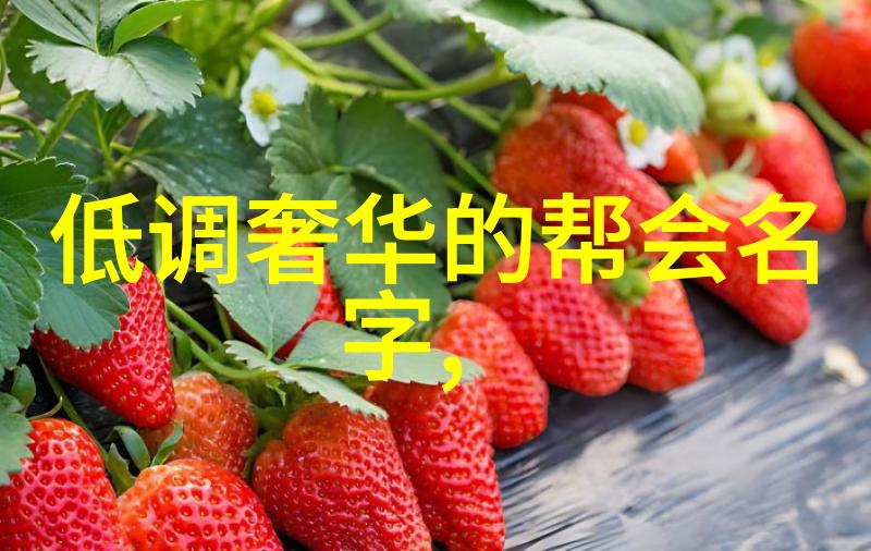 功夫与智慧理解那些以智取胜以勇立威的大型武林组织命名理念