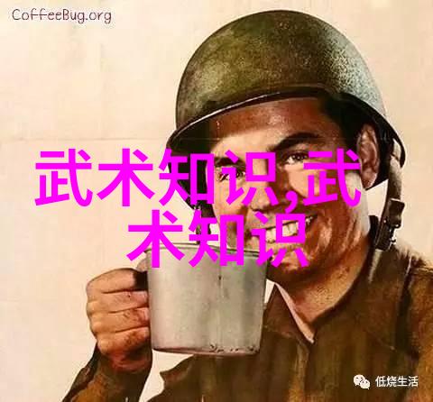 世界上最狠的拳法揭秘提升太极拳推手与防身技巧的秘诀
