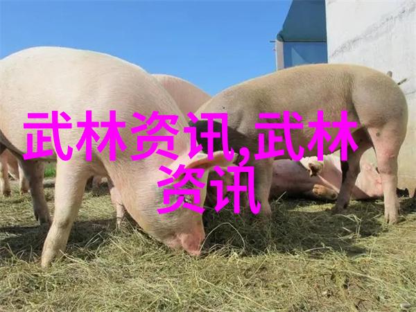 最新排名冯彦哲黄东萍携羽毛球包闯进自然前五翁泓阳以飙升8位荣登榜首
