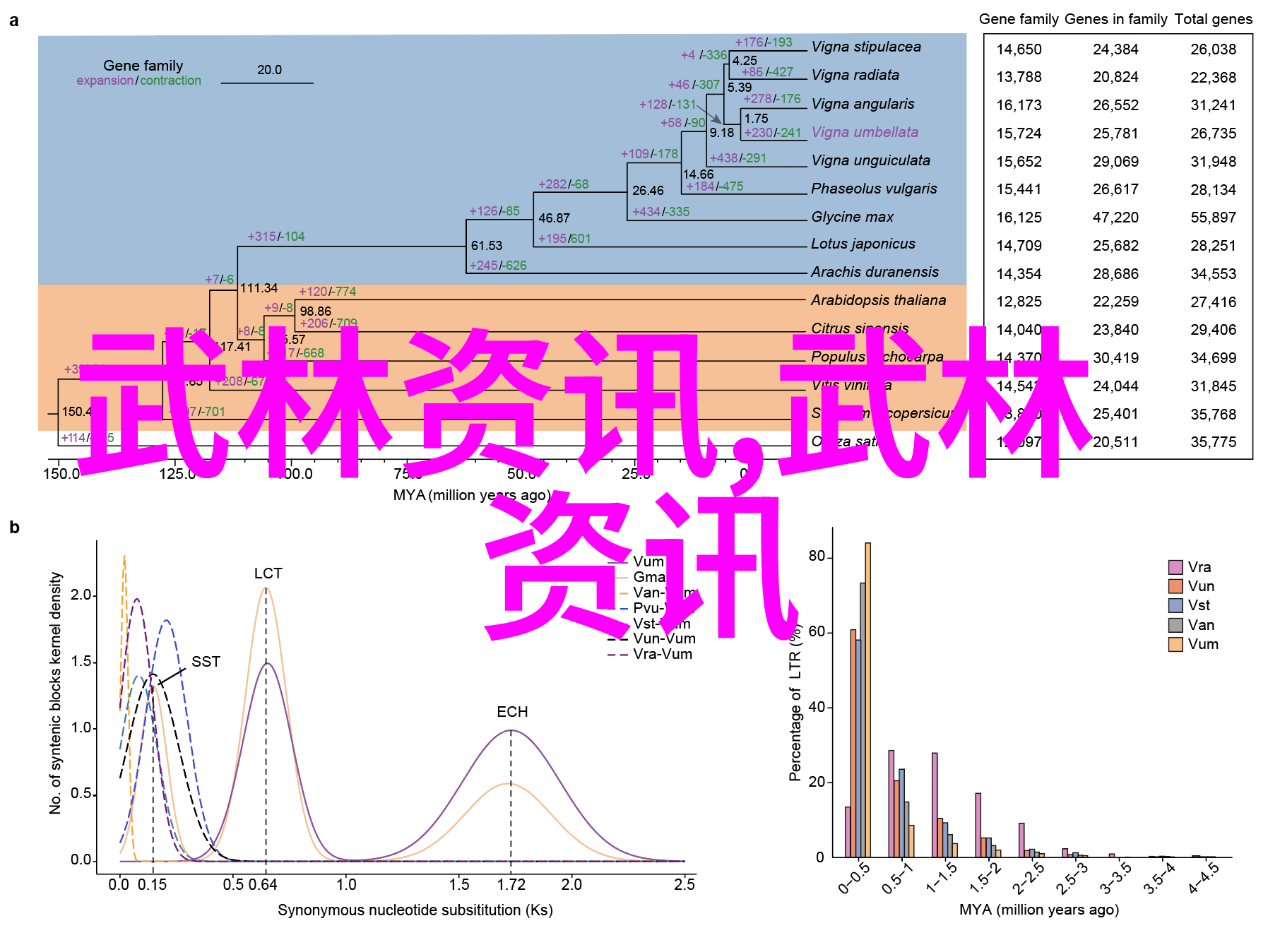 帮派名字儒雅古风-沉淀江山探索传统文化在现代帮派中的再现
