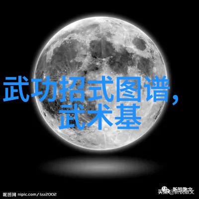 武功秘籍大全拳法精髓掌握古典与现代拳法的艺术