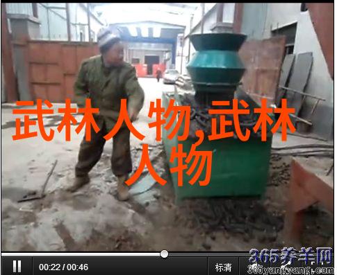 五行剑法武林八大派中的一把双刃剑