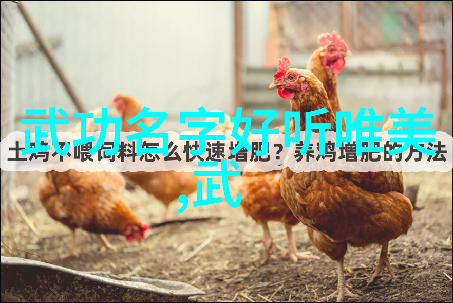 社会经济环境对全世界各地幫派勢力的影響有多麼深刻