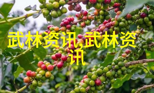 武当全真龙门派传人金莲祖师的遗憾与传奇
