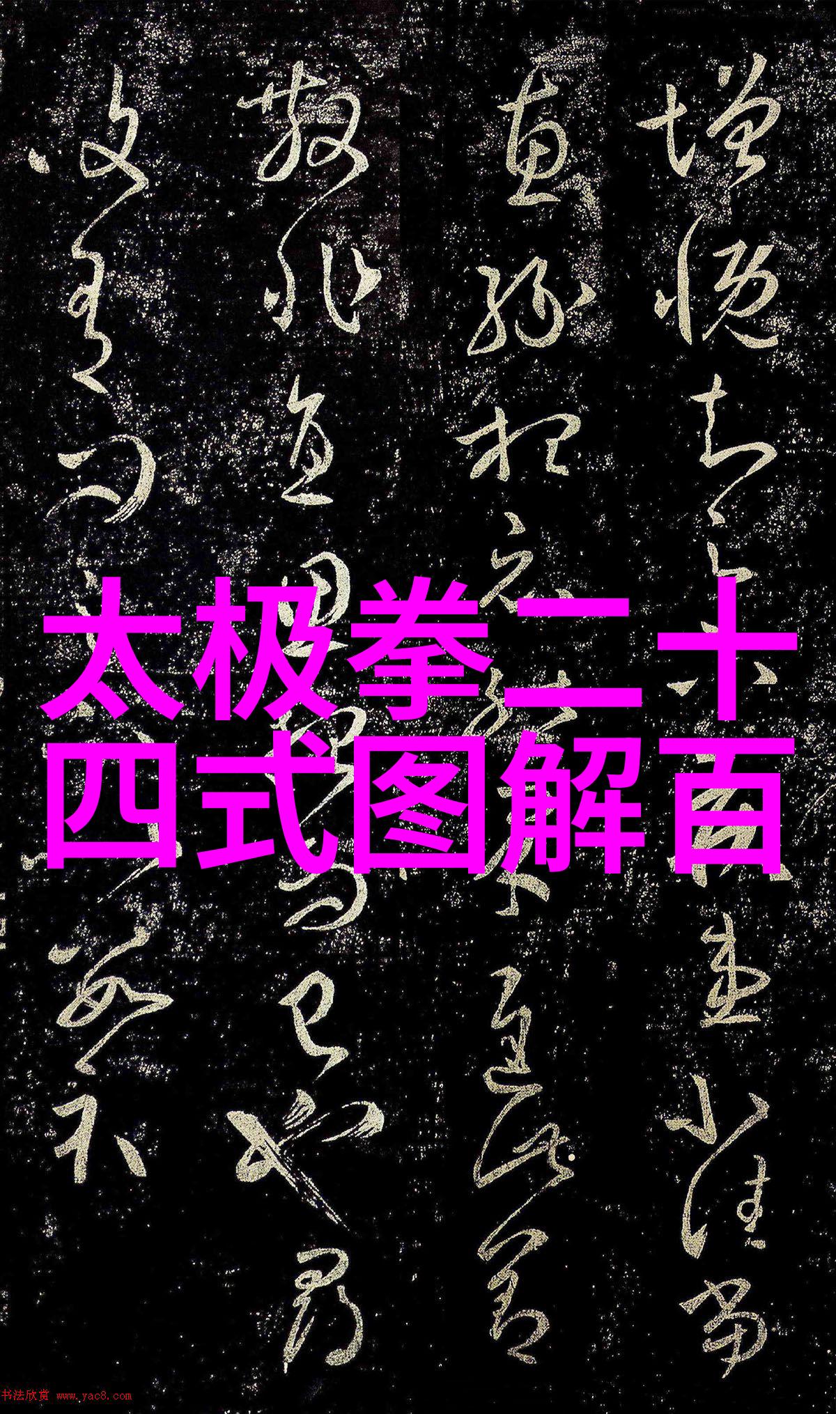 武术活动名称之谜揭秘那些独具匠心的练习方式