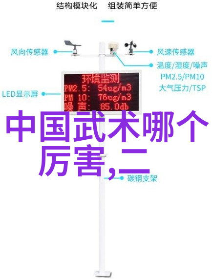 太极拳24式一步一步的教程掌握传统太极拳精髓