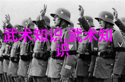 中国武术门派中华传统的精湛武术流派