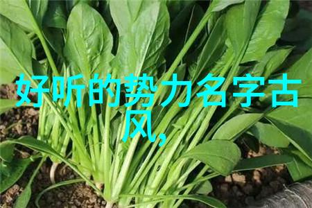 拳击之巅探秘武术界的最强法宝