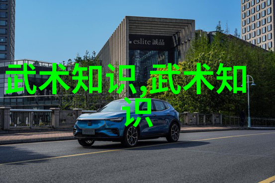 在武术万维网官网上论太极拳的道家思想又该如何解读