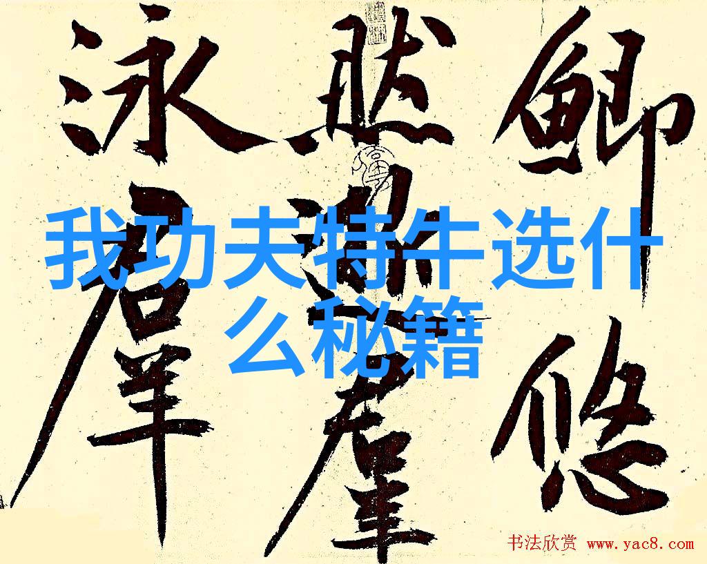 武林秘笈铁掌破空