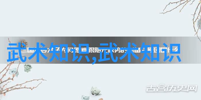 八三年武术风云一场震撼的艺术与勇气交汇