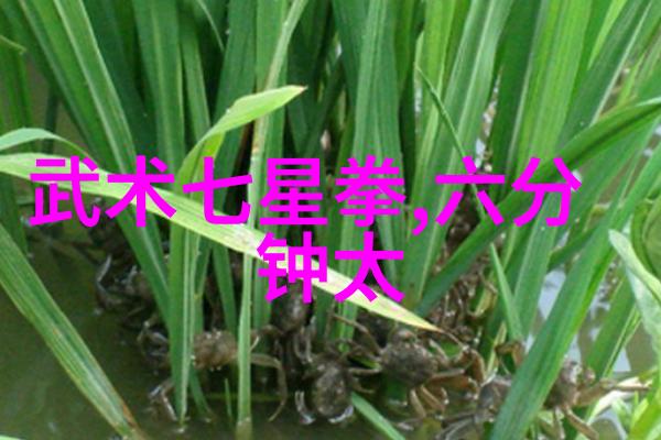 如何区分正宗武术与现代武打