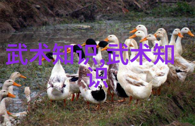 武功秘籍如何用一招金鸡独立让对手飞到天上