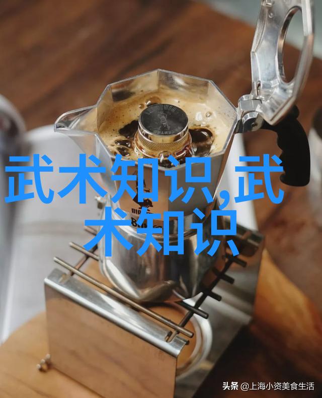 内外兼修的艺术评估形意拳不同流派的训练方法