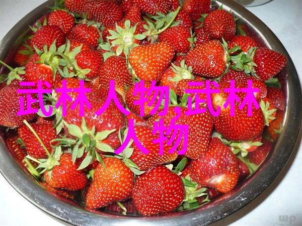 月下幽兰追寻古风帮派的往昔荣光