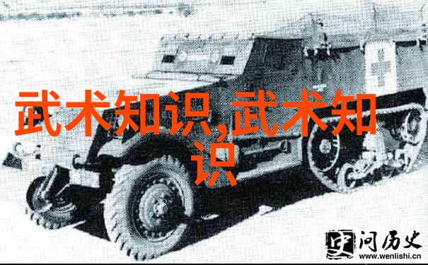 探索中国武术文化从经典到现代的30个代表性门派