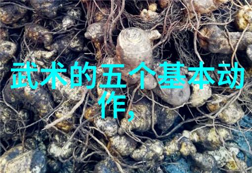 面对强敌少林武功秘籍大全提供了哪些战略策略