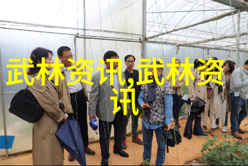 武林霸主之争门派强弱的真相