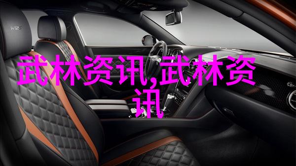 武林秘籍集成传承古老武功之道