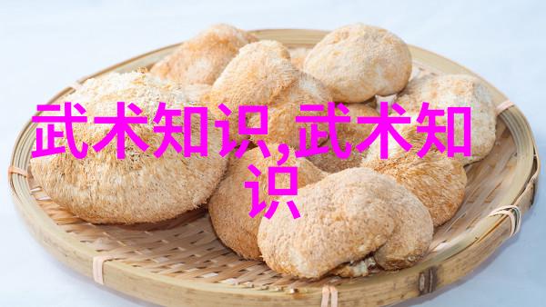 武功秘籍大全揭秘太极拳内在拳法之谜
