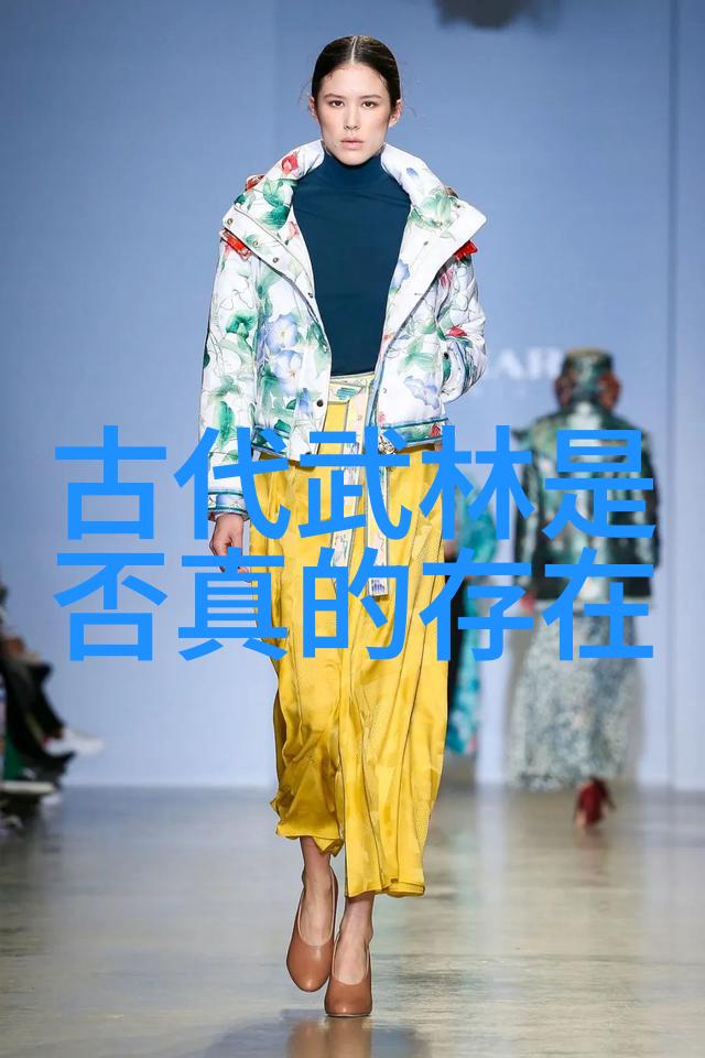 从基础到精髓学习太极24式正面背面的过程