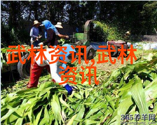 武林内功大比拼揭秘中国功夫门派实战力排行榜