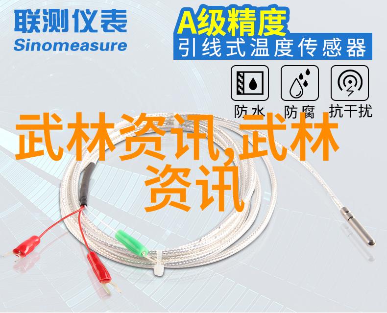 从影到实现代门派如何影响现实生活的武术训练