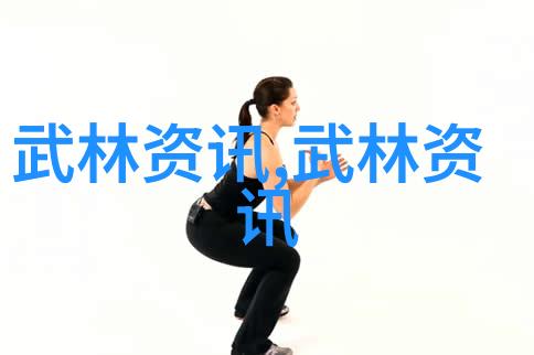 中华武学秘笈揭秘练习中国武功的艺术与技巧