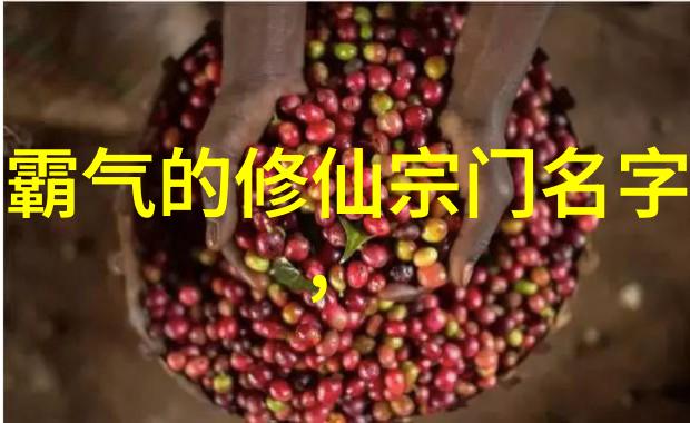 中国功夫之拳法如同江湖中的武林高手各有独到之处