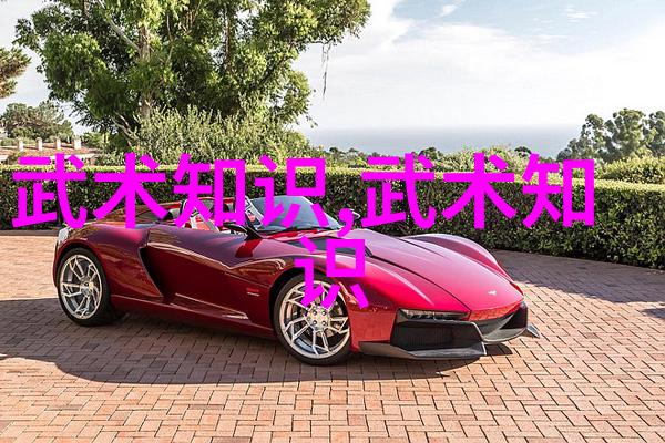 绝技集结全球实战性最高的十门武艺