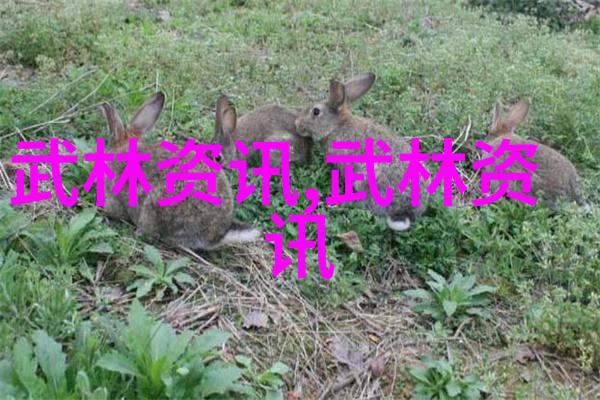 低碳肌爆揭秘乳清蛋白与增肌粉的差异之谜