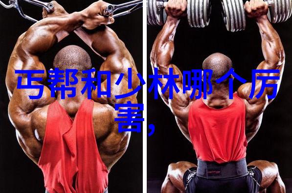 面对初学者常见的问题我该怎样调整训练方法以避免受伤